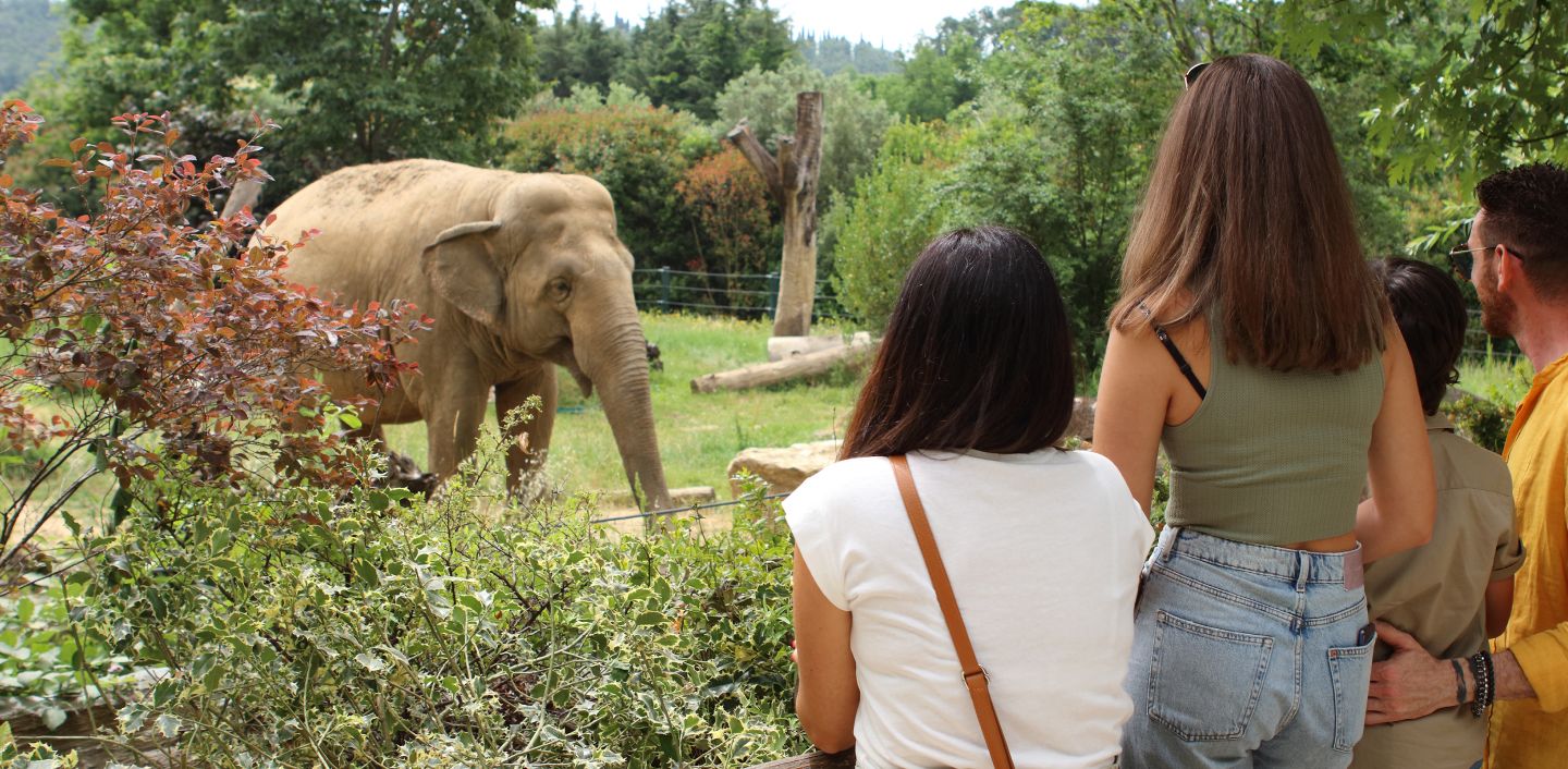 zoo pistoia